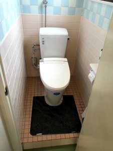 擬音装置付きの便器を設置しました。