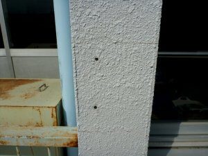 器具を設置した後の穴も残っている