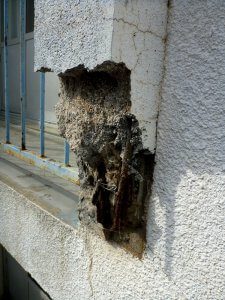 同様に、腐食によってコンクリートが完全に剥落してしまっている