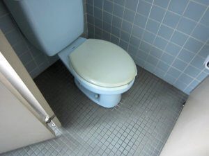 一般的な洋式タイプの便器